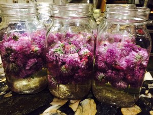 how-to-make-white-wine-vinegar